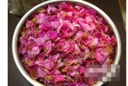 娱乐吃瓜酱带刺的玫瑰,揭秘带刺玫瑰背后的故事