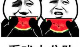 吃瓜的表情啥意思,揭秘网络社交中的趣味与内涵