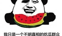 吃瓜群众网络用语,揭秘娱乐圈那些事儿