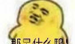 吃瓜的表情啥意思,揭秘网络社交中的趣味与内涵