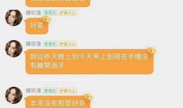 娱乐吃瓜点评文案,盘点热门事件幕后真相