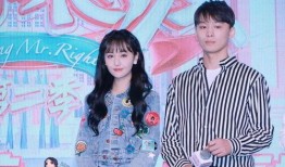 吃瓜娱乐圈vip,VIP视角下的明星生活与幕后故事