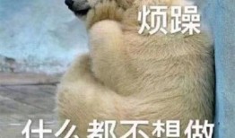 吃瓜群众图片动态,捕捉社会百态瞬间