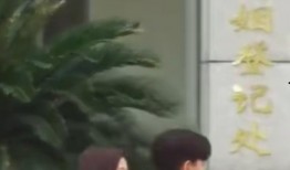 娱乐吃瓜酱民政局,民政局背后的那些事儿